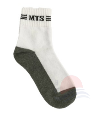 MTS Logo Socks
