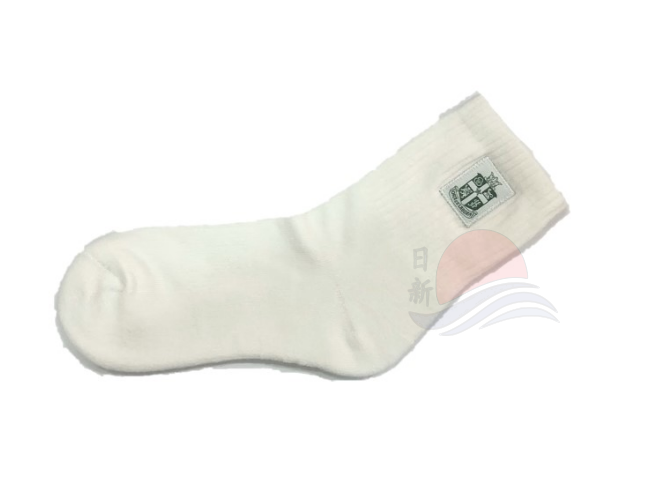 SJIJ Logo Socks